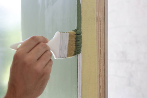 Best Black Mold Removal  in Grafton, ND