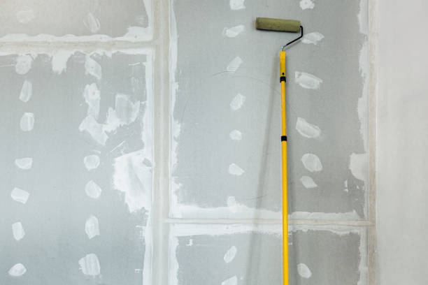 Professional Mold Removal in Grafton, ND