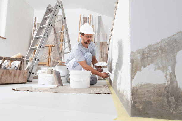 Best Mold Remediation for Vacation Homes  in Grafton, ND