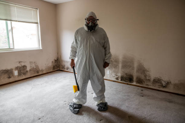 Best Industrial Mold Remediation  in Grafton, ND