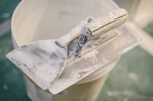 Best Black Mold Removal  in Grafton, ND
