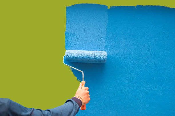 Best Water Damage & Mold Remediation  in Grafton, ND
