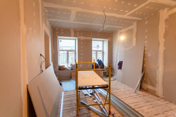 Best Biohazard Mold Removal  in Grafton, ND